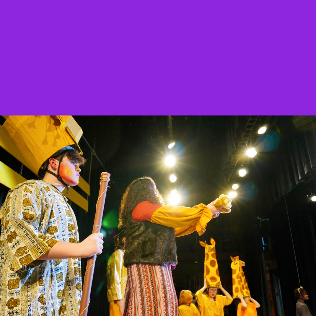 Hero SCJH Lion King